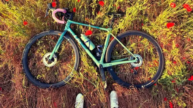 Rower leży wśród maków. Prawidłowe ustawienie siodełka to klucz do uniknięcia bólu kolan podczas jazdy.