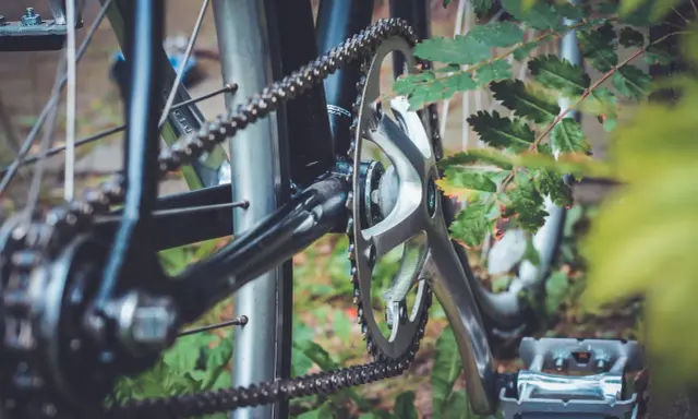 Zbliżenie na rowerowy mechanizm korbowy i łańcuch. Jak zmierzyć linię łańcucha? Widoczne zębatki, pedał i liście.