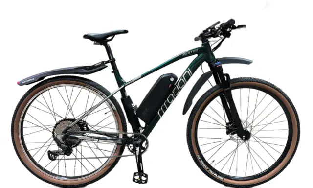 Zielony rower z napędem elektrycznym, zestaw do konwersji roweru 250w. Wyposażony w błotniki i opony z brązowymi bokami.